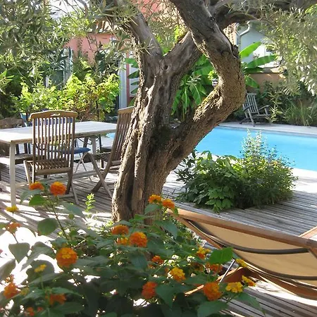 Appartement Mandarine Albi